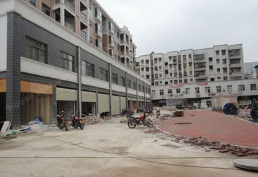 大汉精品建材城 优质木材选购指南