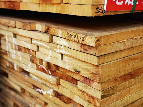 加纳木材市场遭遇寒冬 价格断崖式下跌，最大跌幅超五成