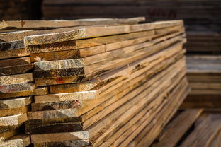 深度解析 为何申请中国木材网审核未通过？