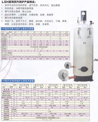 立式蒸汽锅炉选购指南 价格、厂家与燃煤型特点全解析