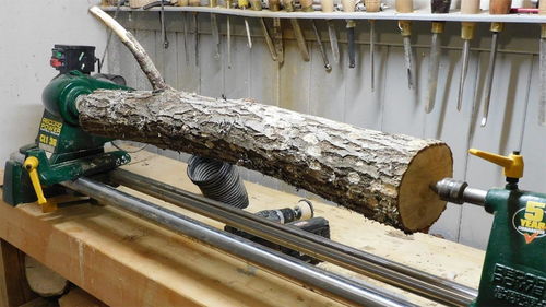 匠心独运 一根废弃木头的华丽蜕变