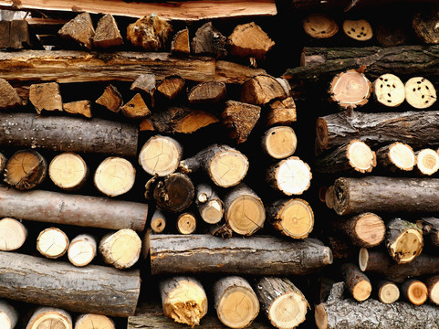 农家柴垛 木材的乡土记忆与生活智慧